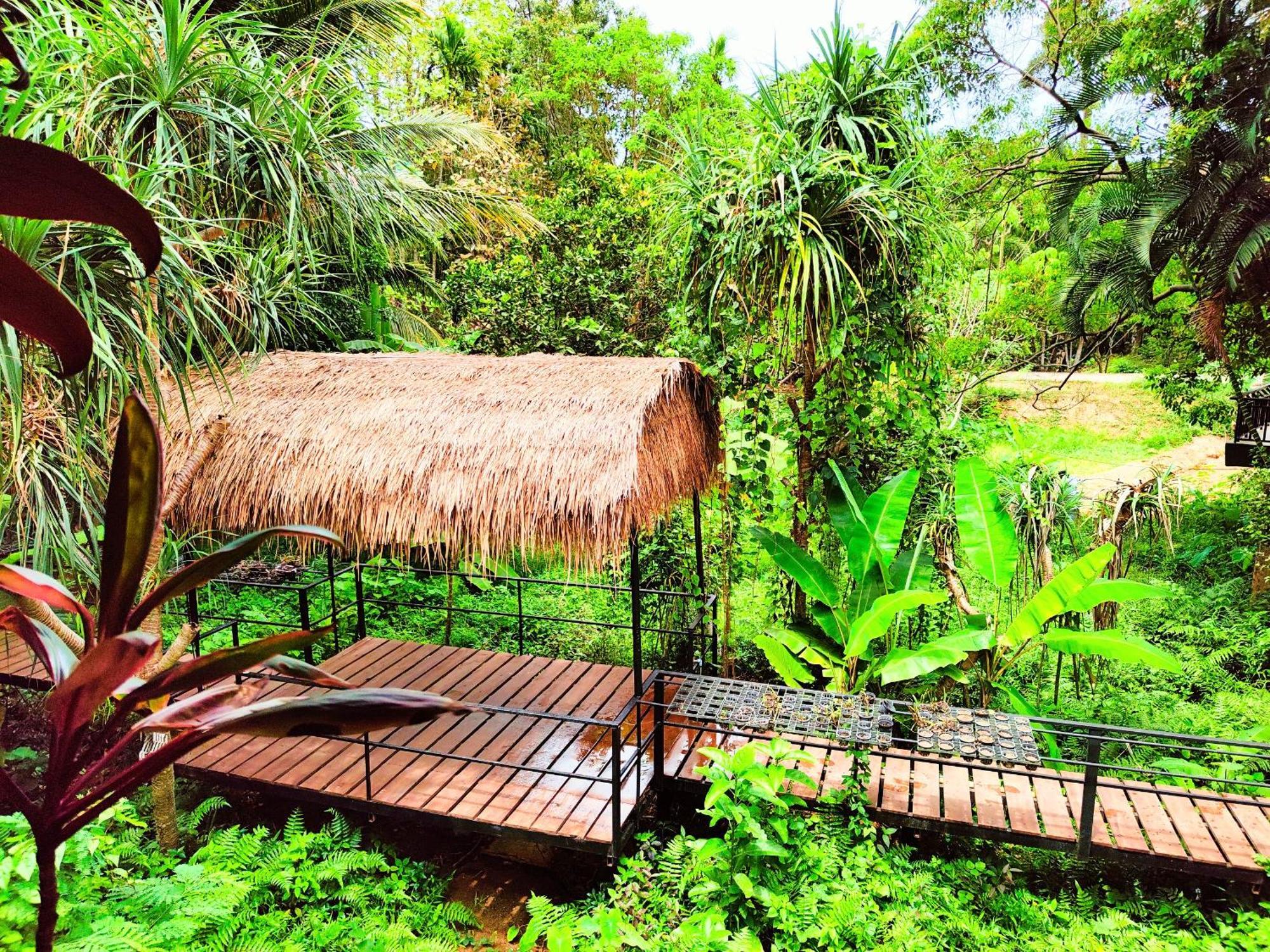 Phuket Jungle Experience Resort Karon 外观 照片