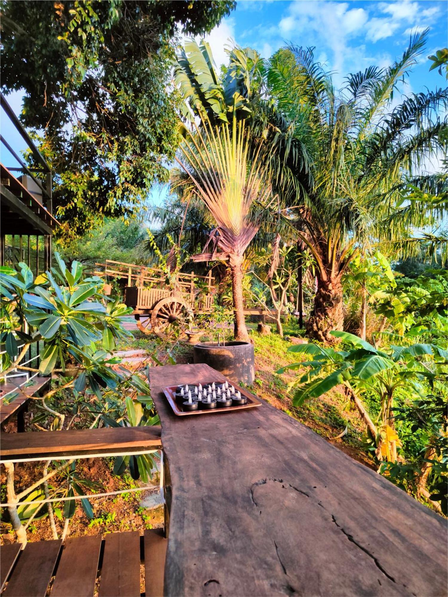 Phuket Jungle Experience Resort Karon 外观 照片